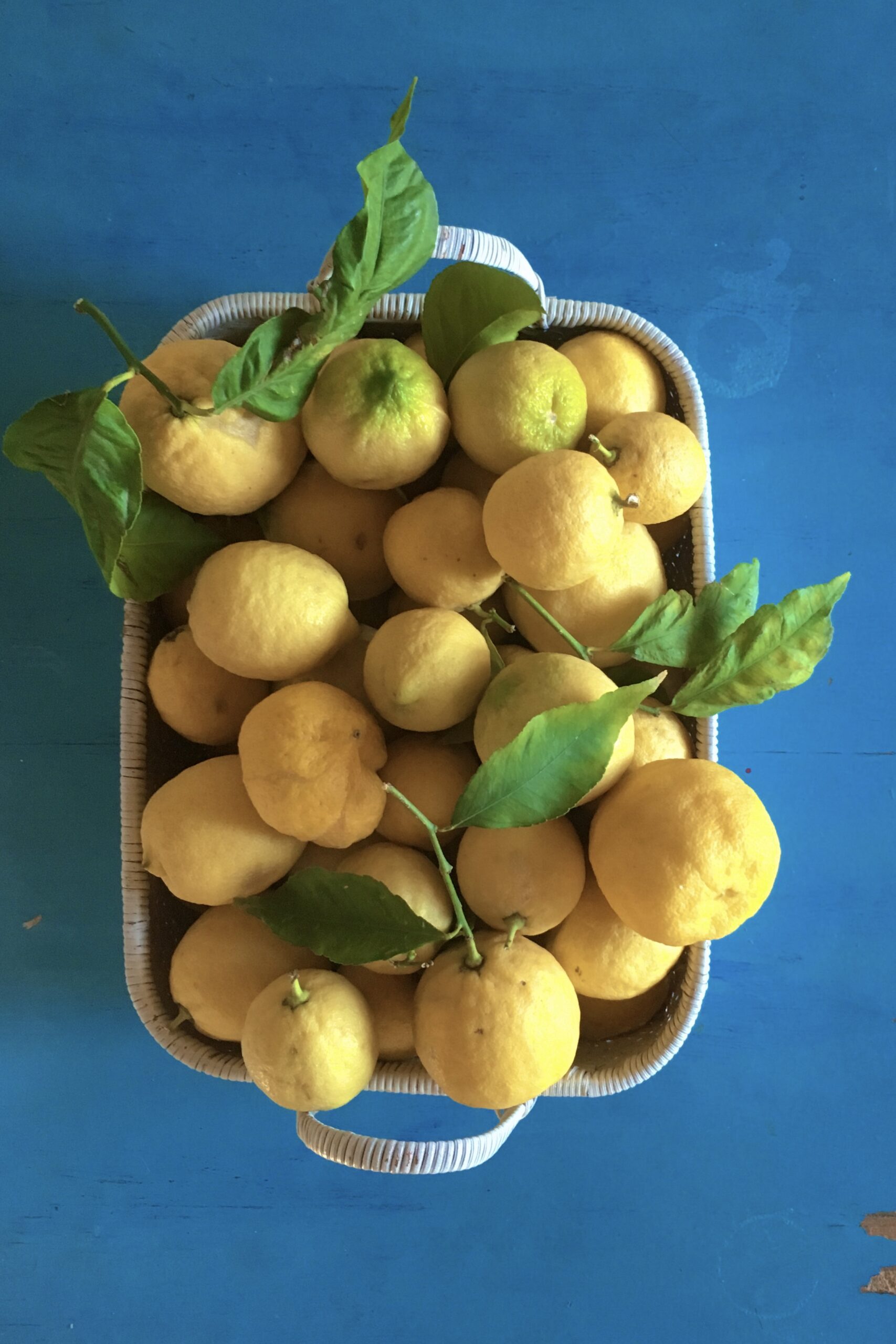 Lemons in a basket on a blue tabletop.