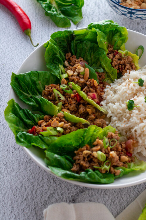 How to Make Pork San Choy Bow Days of Jay