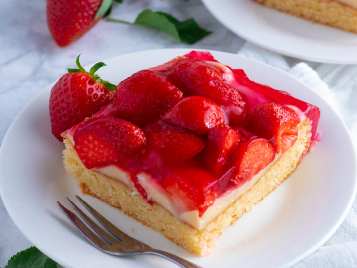 Squishy MJ Fruit strawberry cake 6x11