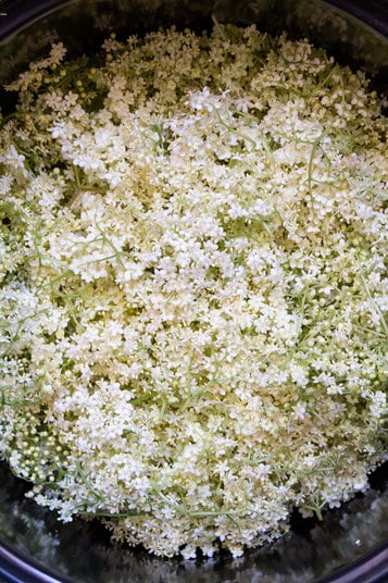 Elderflower and Prosecco Jam