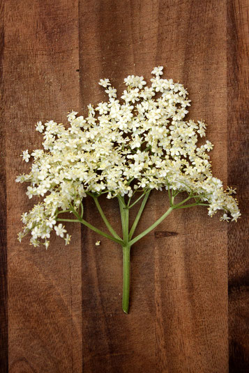 Elderflower and Prosecco Jam