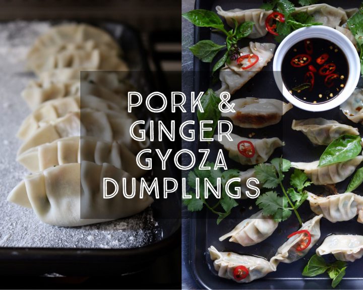 Pork and Ginger Gyoza Dumplings