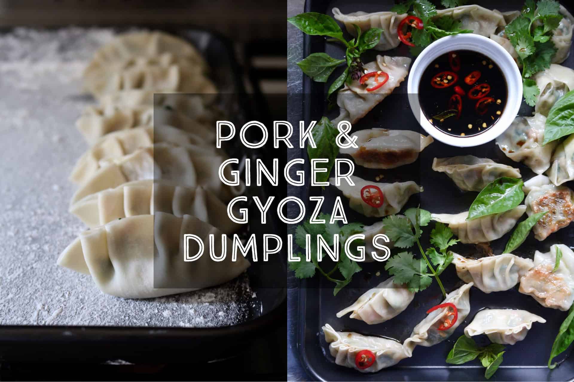 Pork and Ginger Gyoza Dumplings