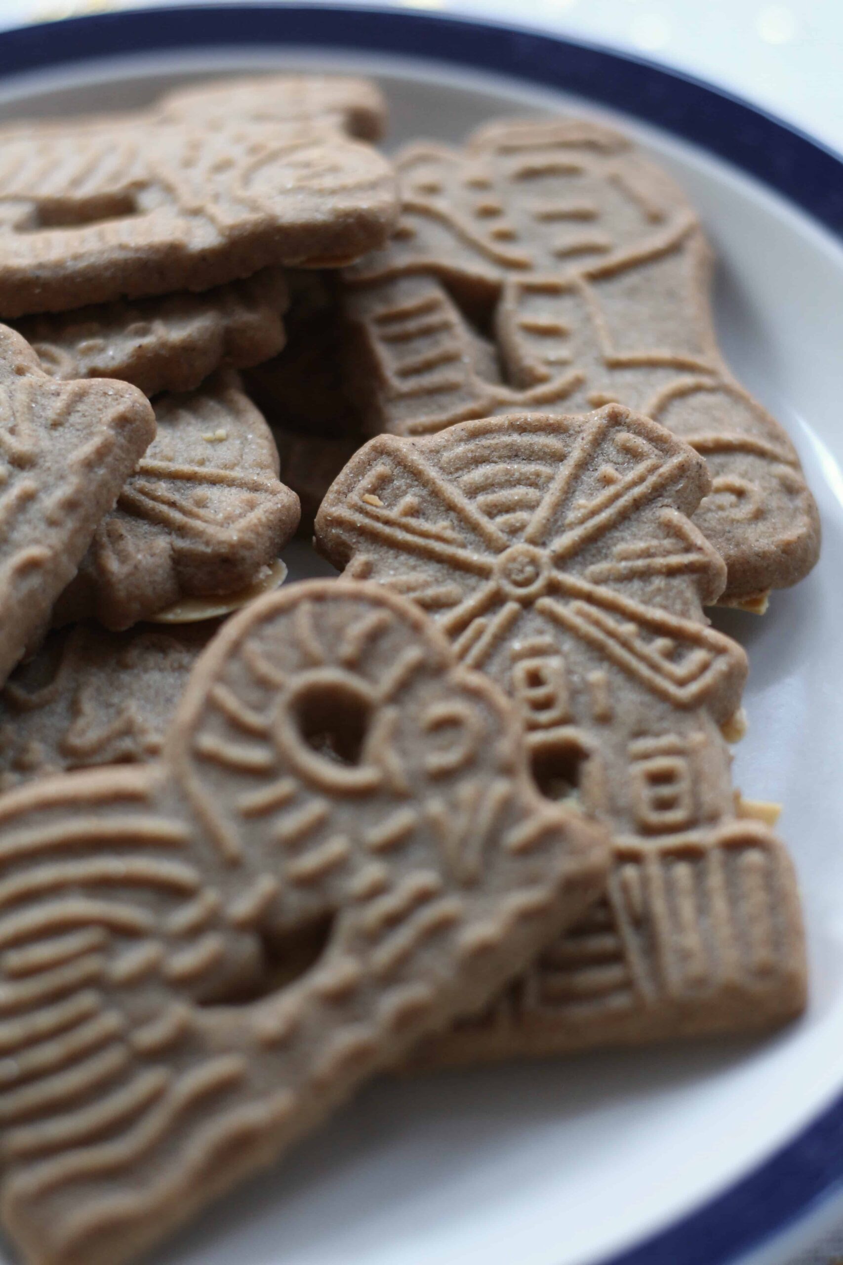 spice biscuits
