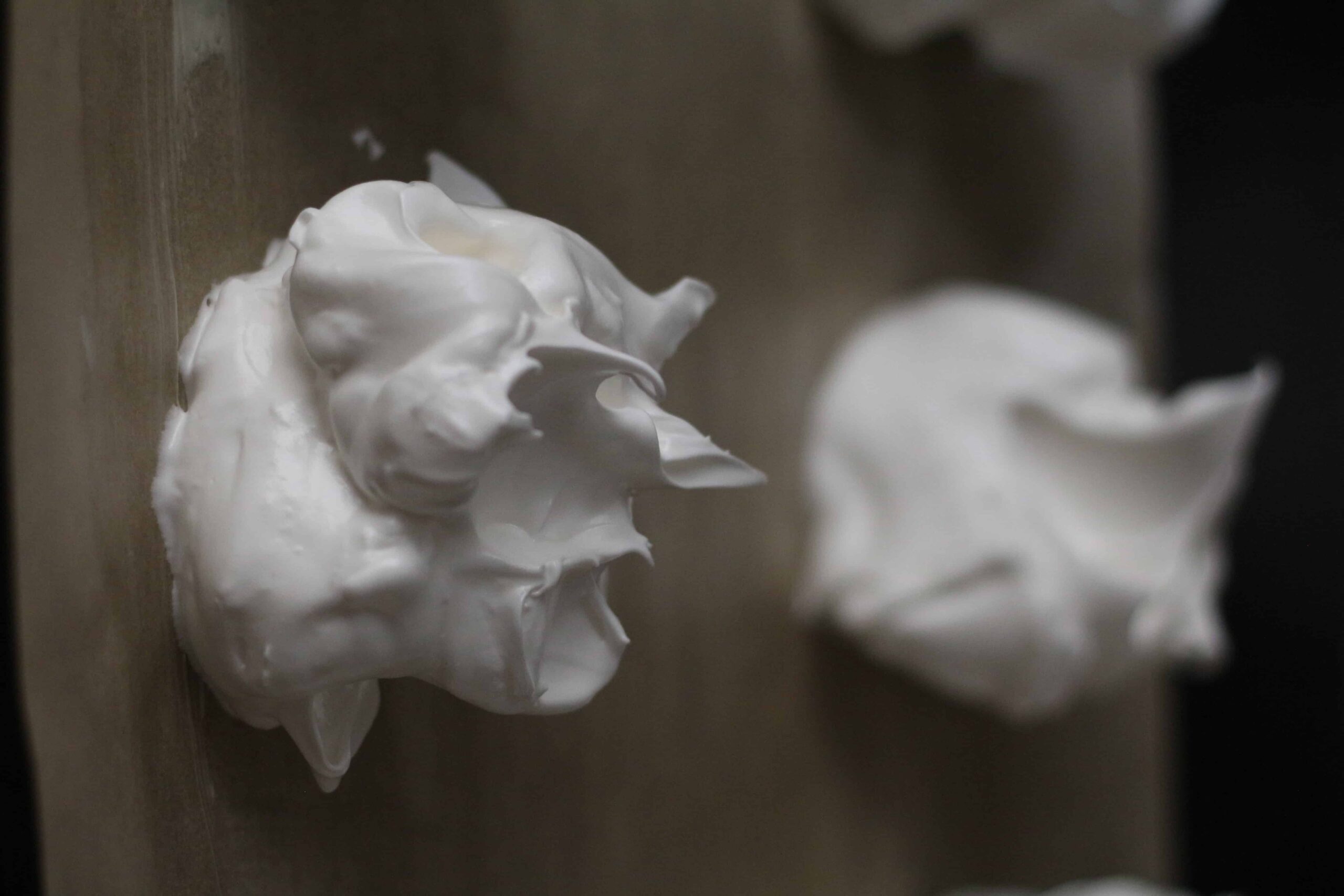 Pavlova