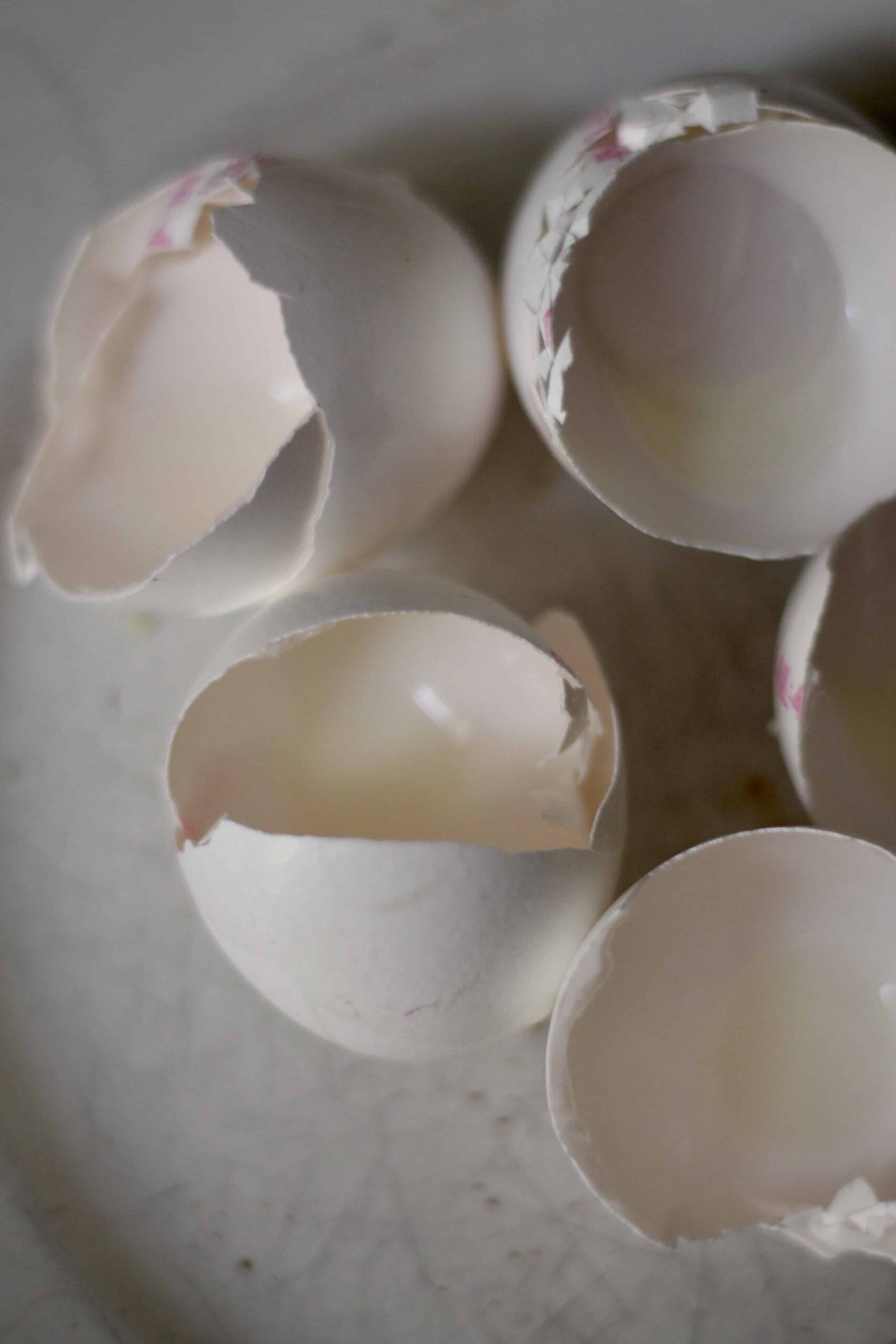 Eggshells