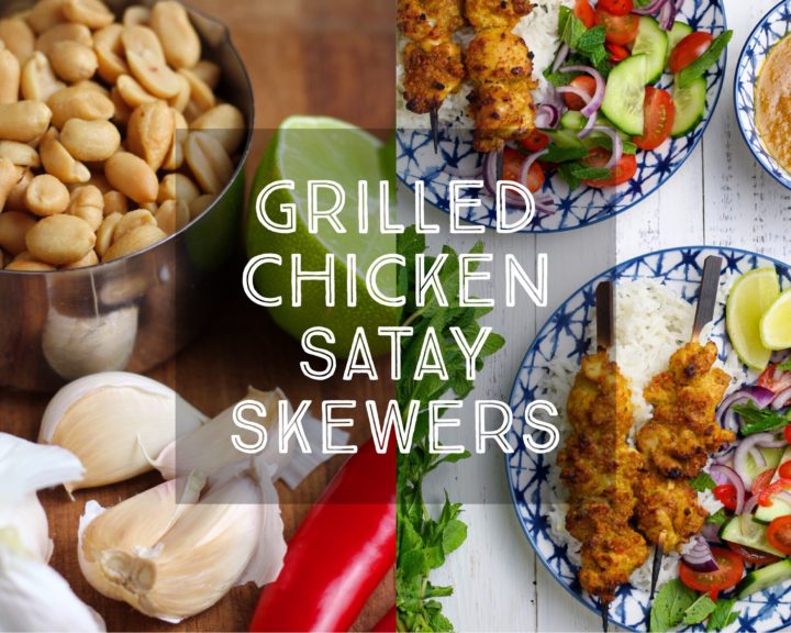 Grilled Chicken Satay Skewers
