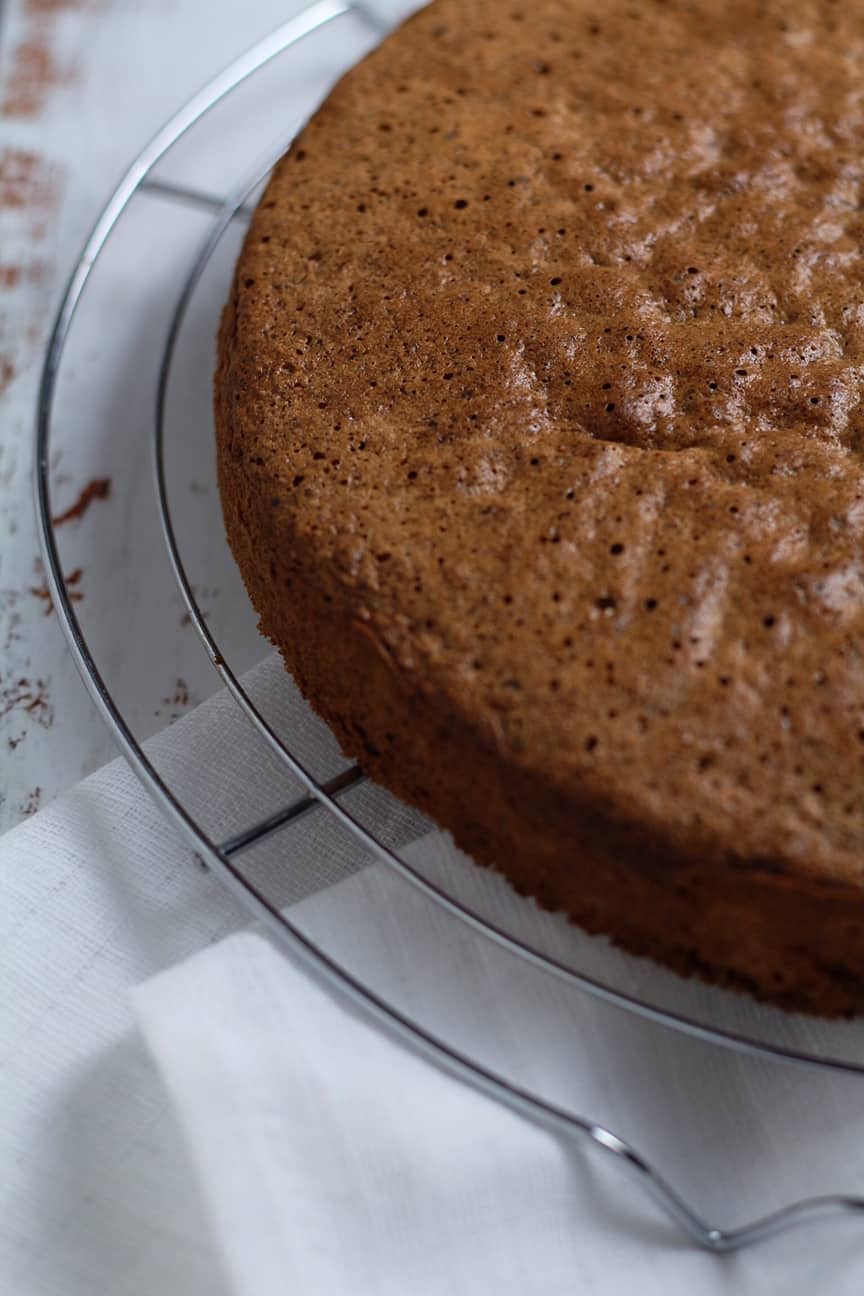 Chocolate and Nut Cake