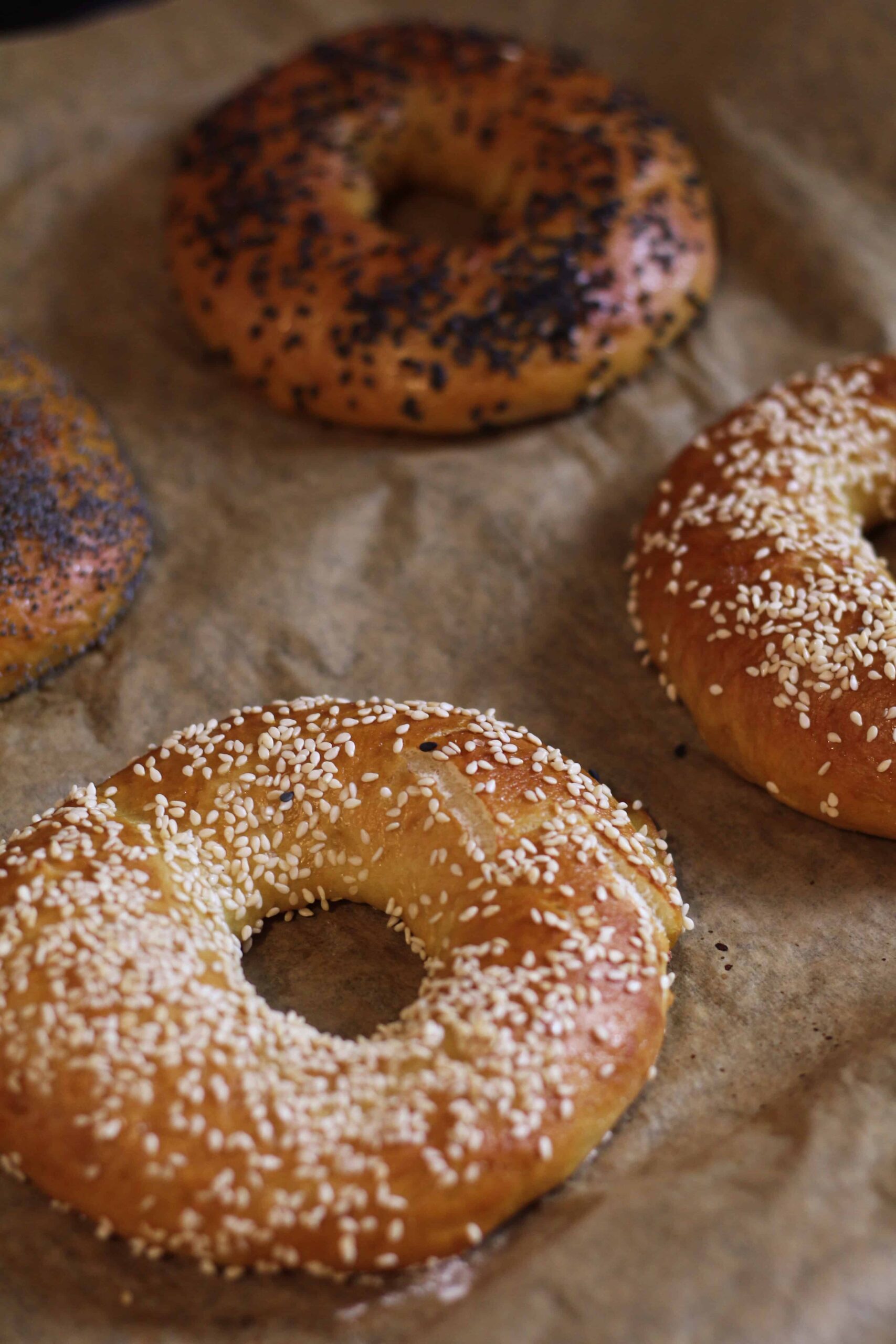 Homemade Sesame Bagels