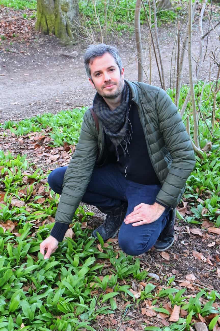 Jay with wild garlic