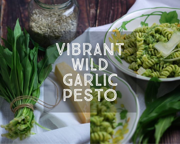 Vibrant Wild Garlic Pesto