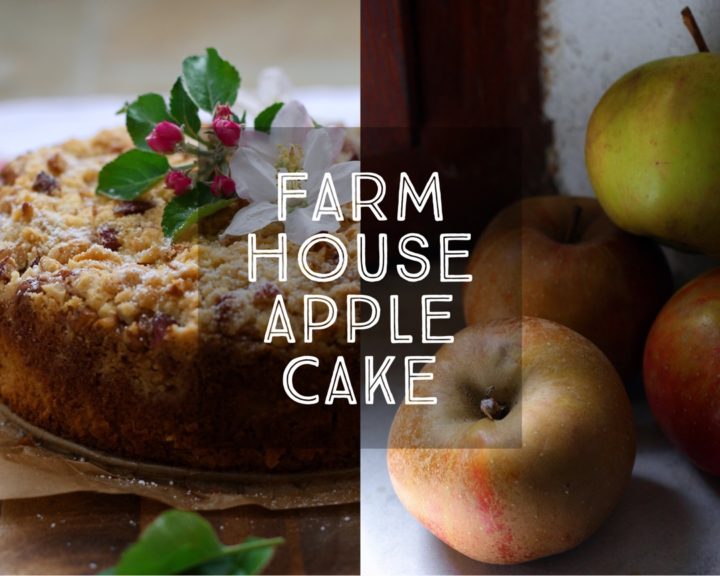 Farmhouse Apple Cake