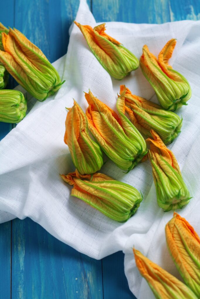 Ricotta Stuffed Zucchini Flowers