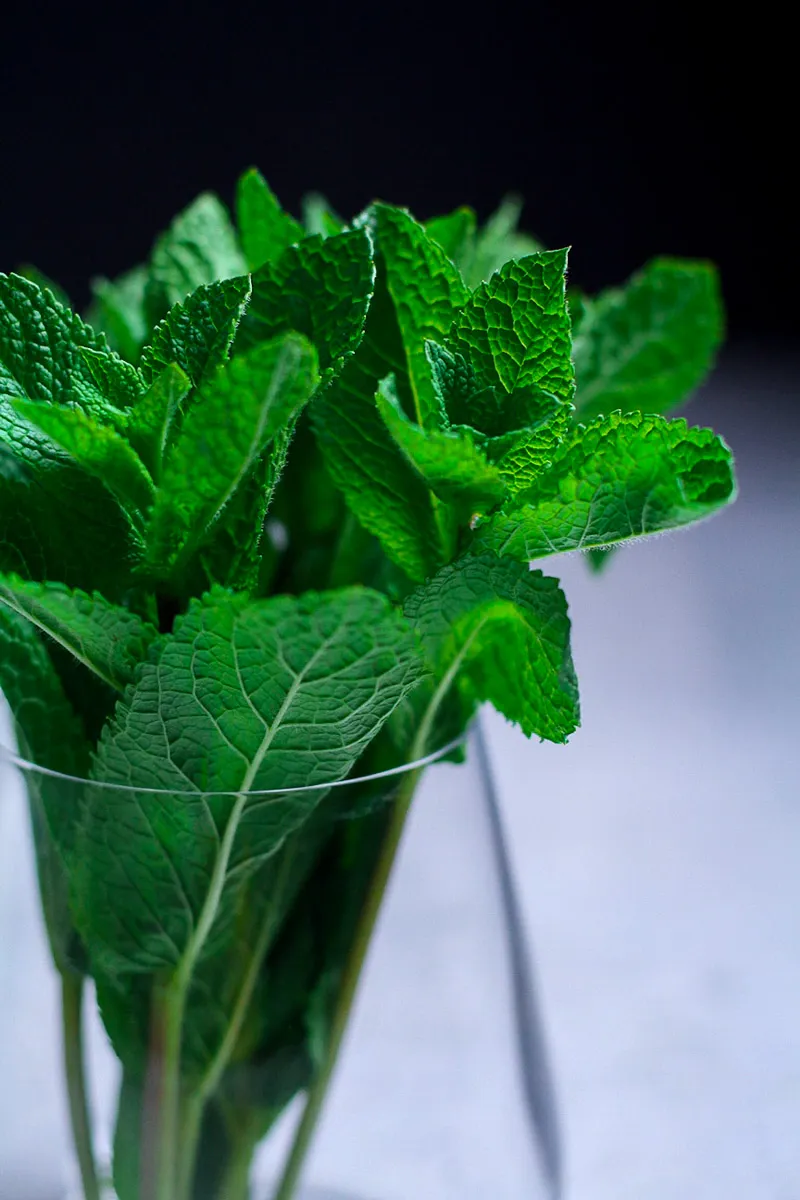 Mint leaves