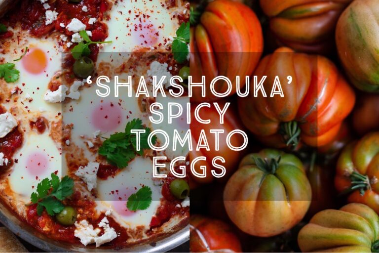 Shakshouka Spicy Tomato Eggs