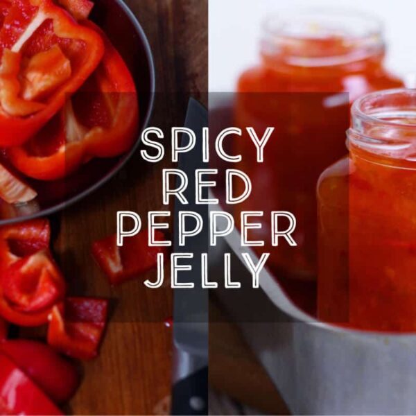 How To Make Spicy Red Pepper Jelly (No Added Pectin) — Days of Jay