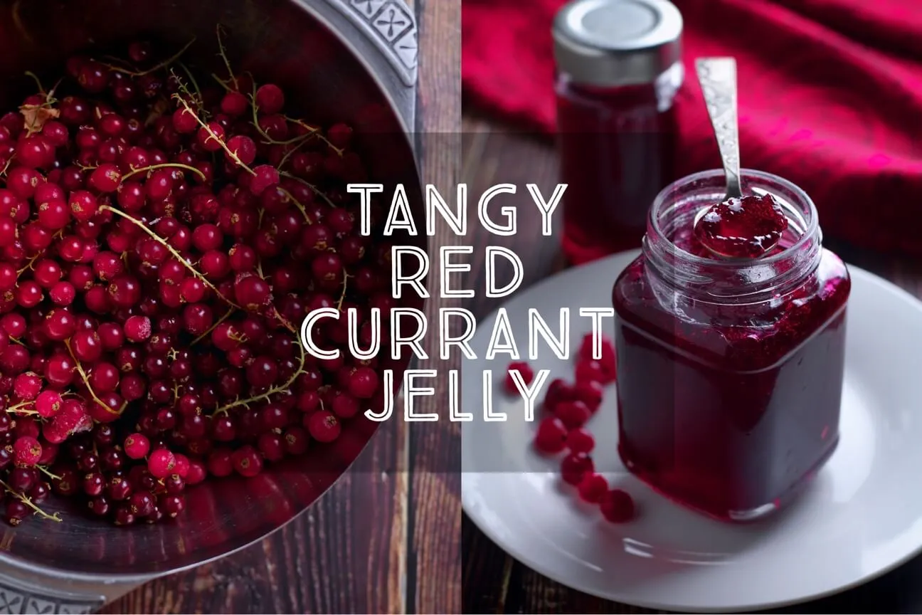 Tangy Redcurrant Jelly