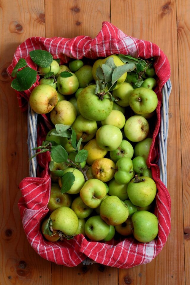 How to Make Rosehip and Apple Jelly (without added Pectin)