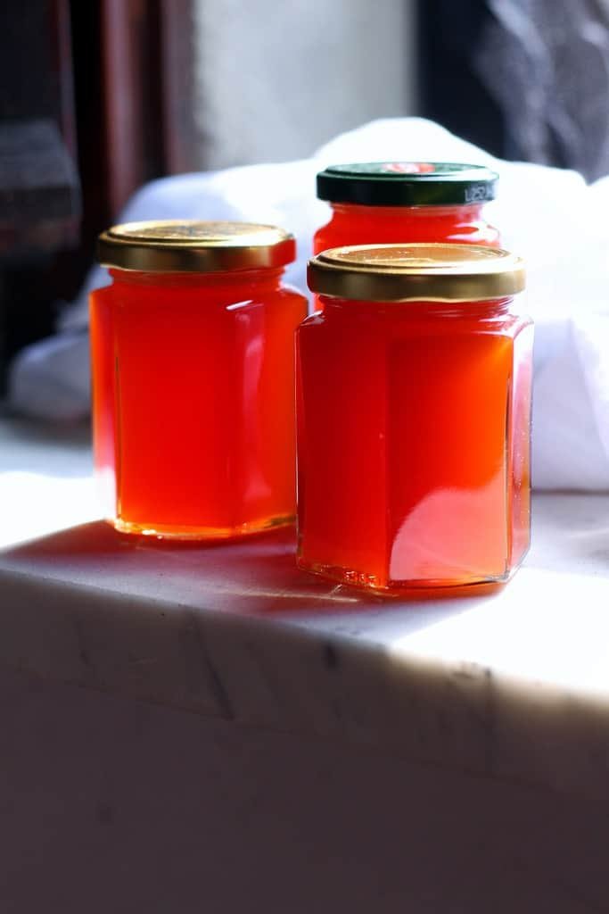 Sweet, tart and wonderfully autumnal, Rosehip and Apple Jelly is full of the flavours of the fall. Perfect for serving with scones and whipped cream or alongside a cheeseboard with some tangy cheddar.