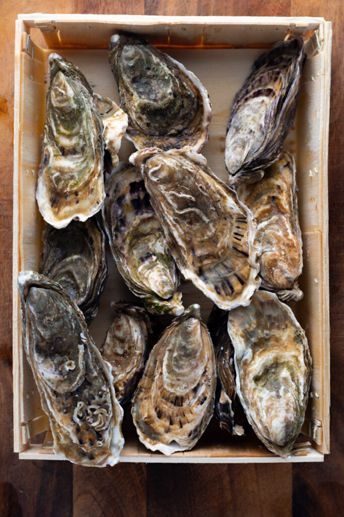 How to prepare Fresh Oysters with Shallot Vinaigrette