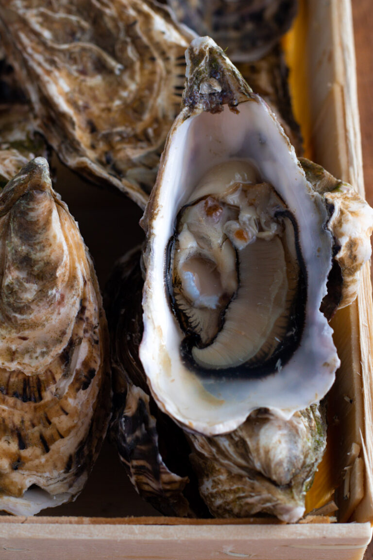 How to prepare Fresh Oysters with Shallot Vinaigrette