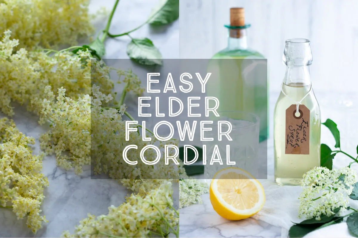 Elderflower cordial is a delicious syrup made from the flowers of the elder tree with a delicate, sweet, floral scent. MAde with three ingredients.