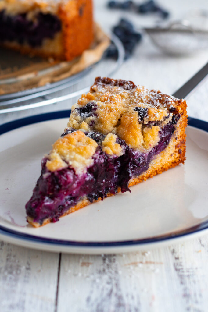 A slice of blueberry Streusel Coffee Cake.