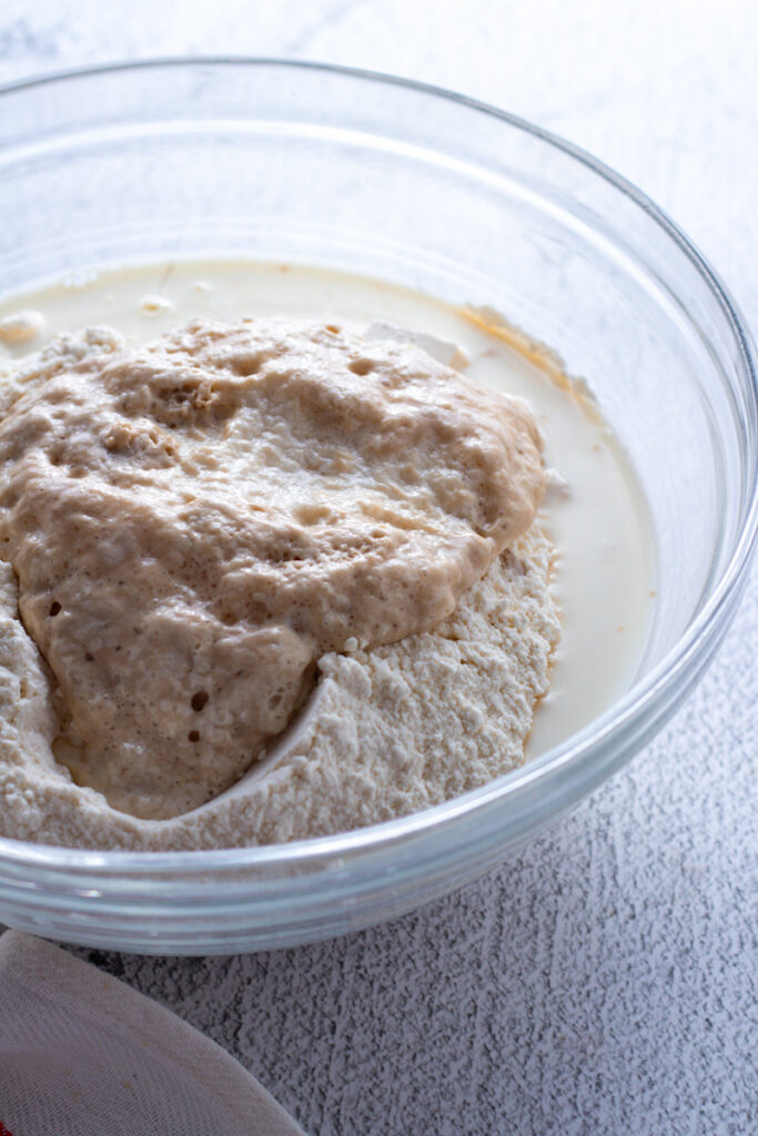 The yeast sponge risen in the well of flour.