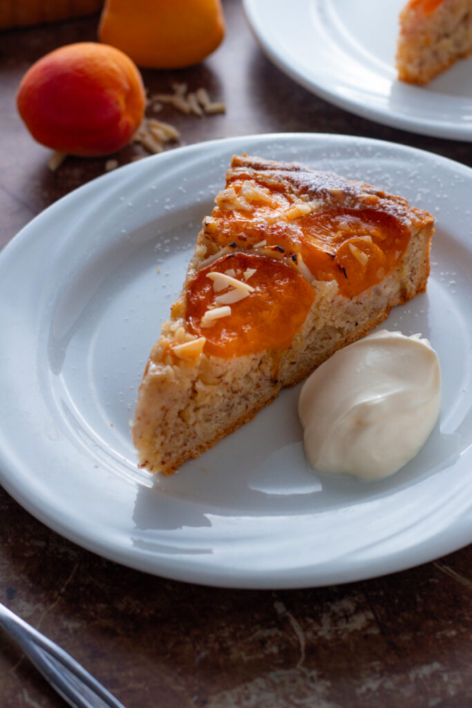 Slice of apricot tart.