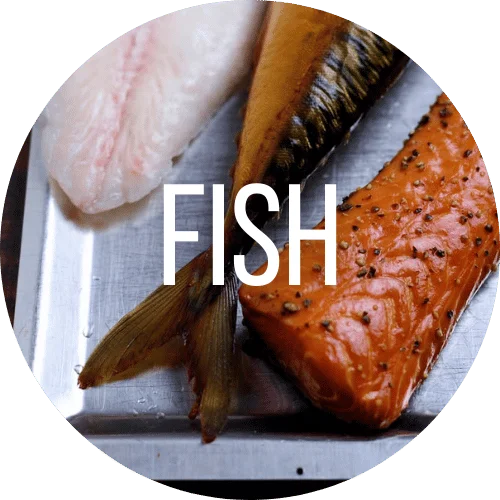 Fish Recipes