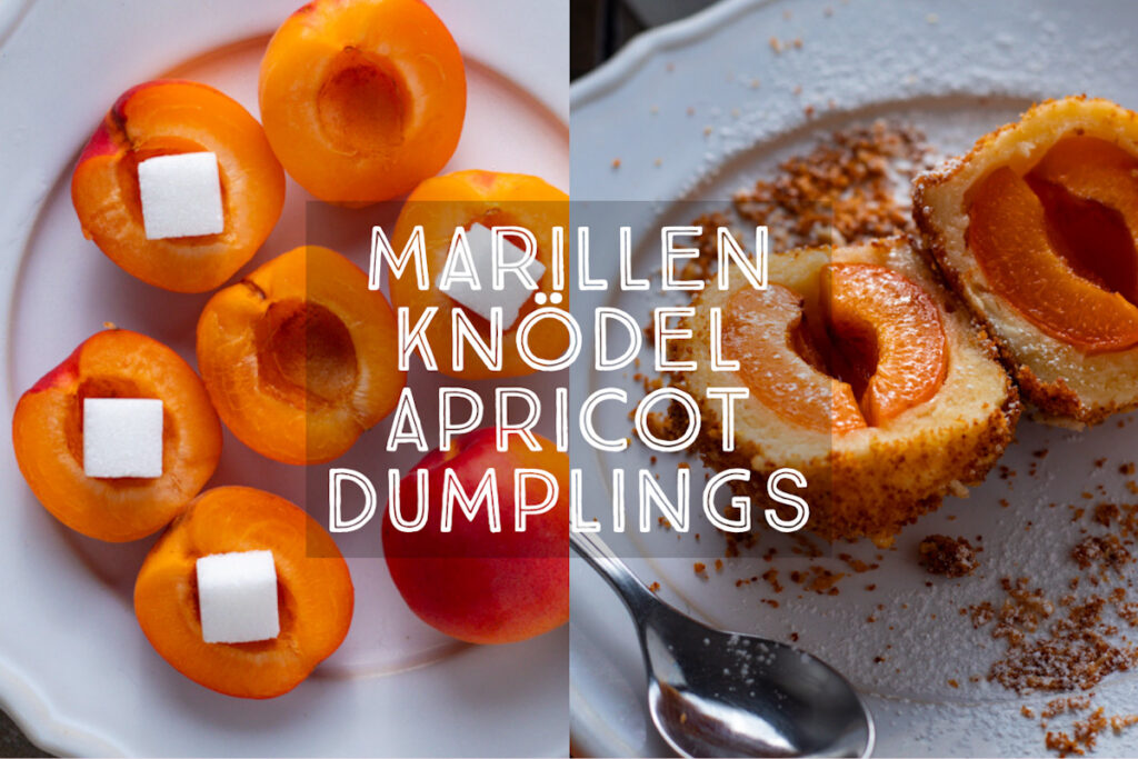 Marillenknödel – Austrian Apricot Dumplings